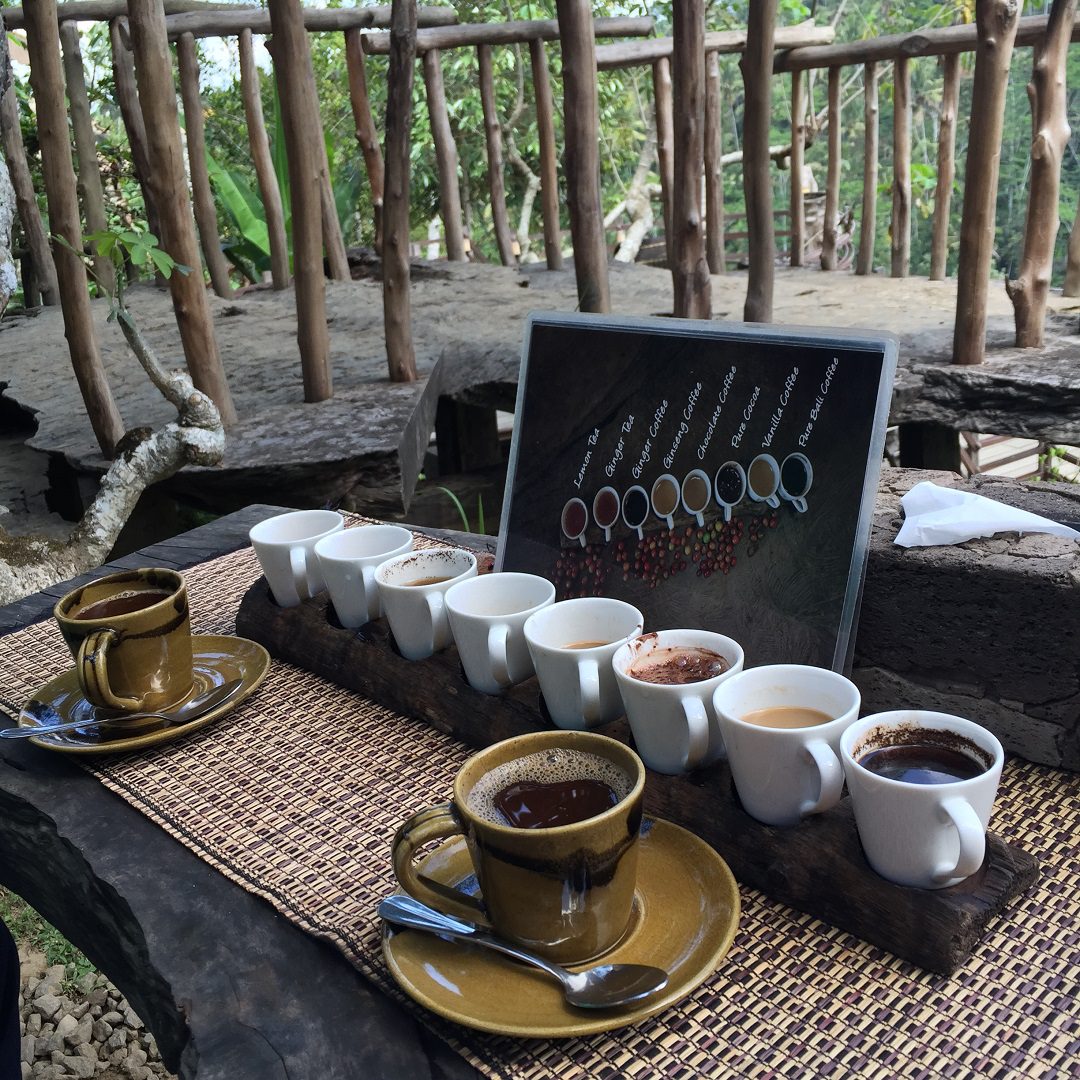 Coffee Plantation Bali